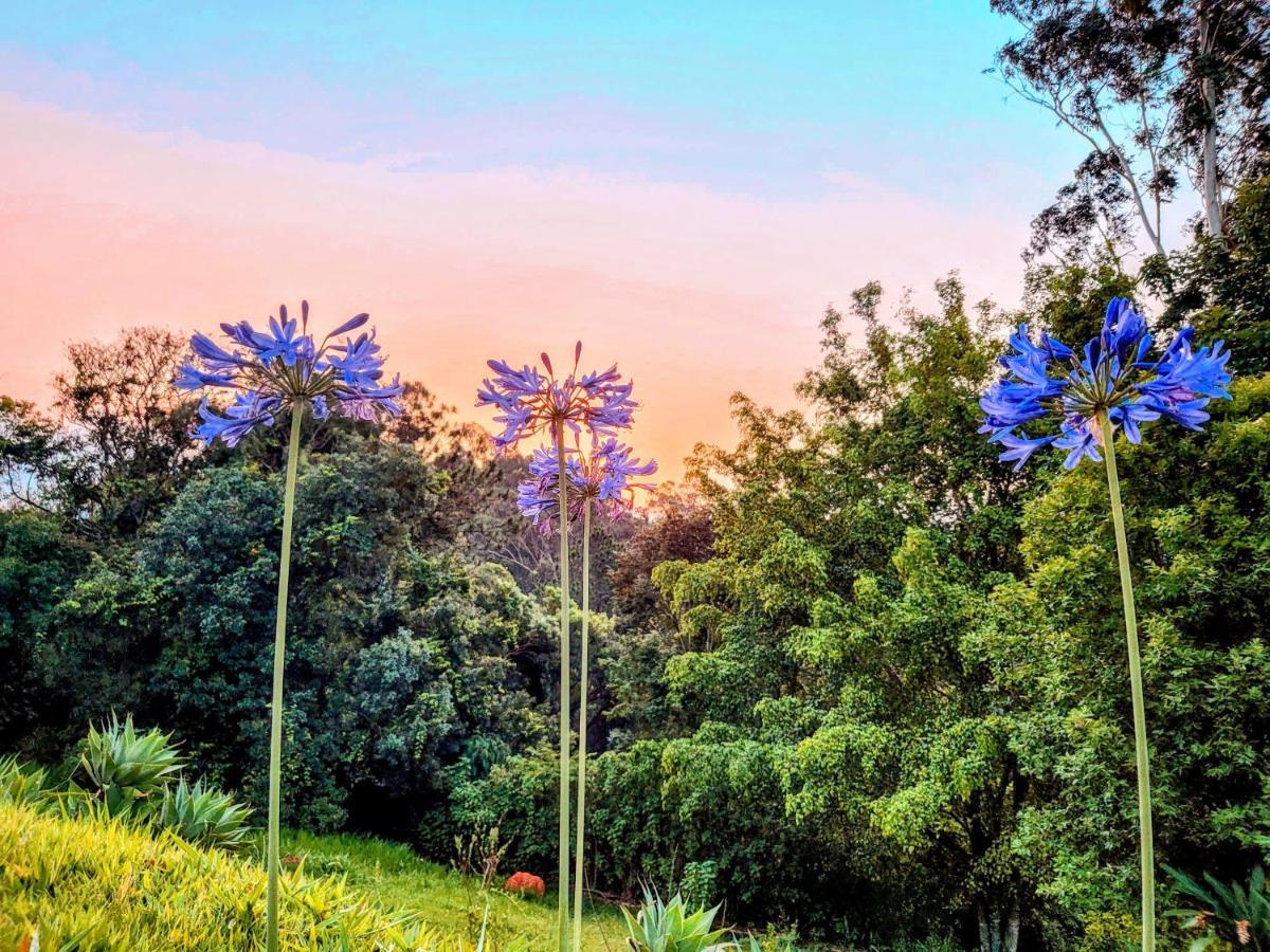 Pousada Dharma Luz E Paz Braganca Paulista Luaran gambar